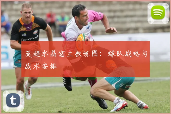 英超水晶宫主教练图:球队战略与战术安排