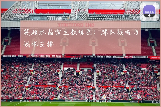 英超水晶宫主教练图:球队战略与战术安排