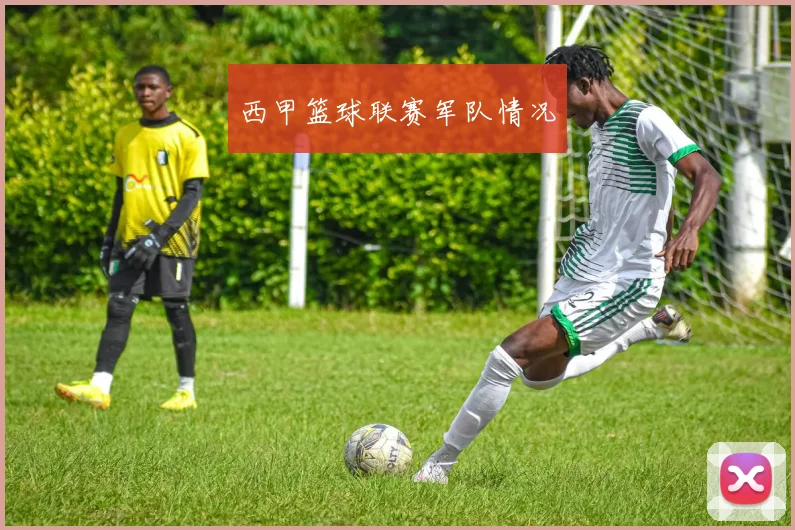 西甲篮球联赛军队情况